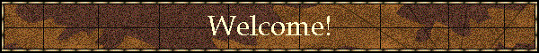 Welcome!