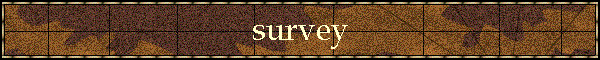 survey