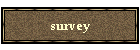 survey